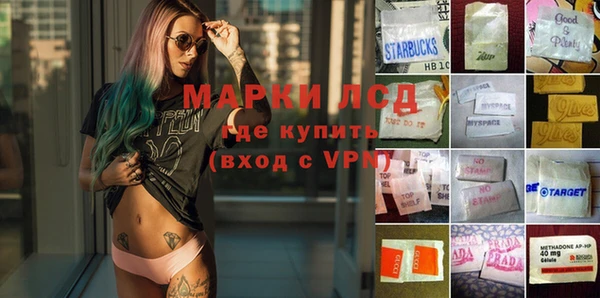 гашик Болхов