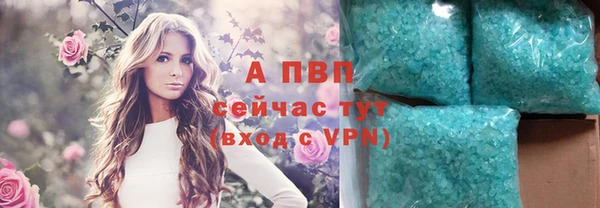 гашик Болхов