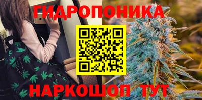 mix Гатчина