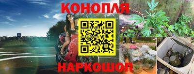mdpv Гай