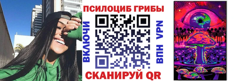 Псилоцибиновые грибы Psilocybe  Ивантеевка 
