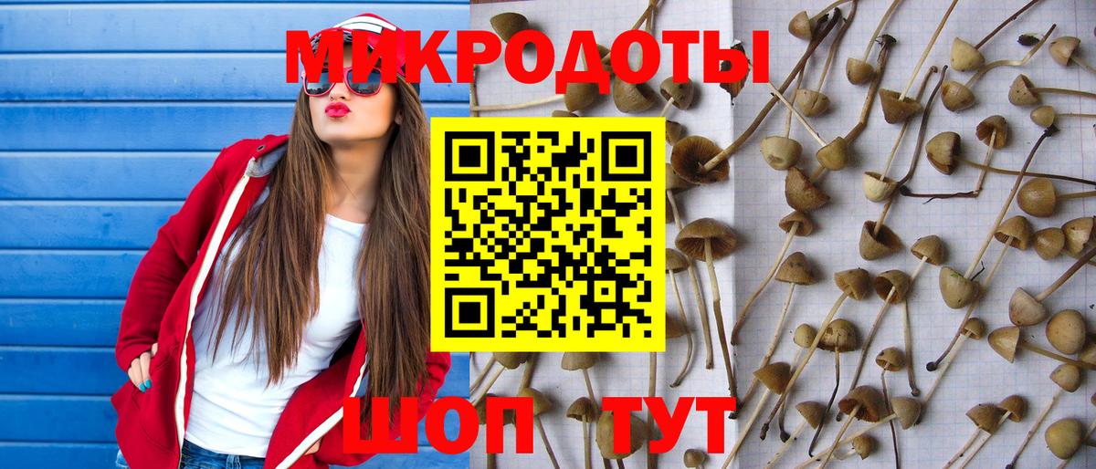Галлюциногенные грибы Cubensis Ивантеевка