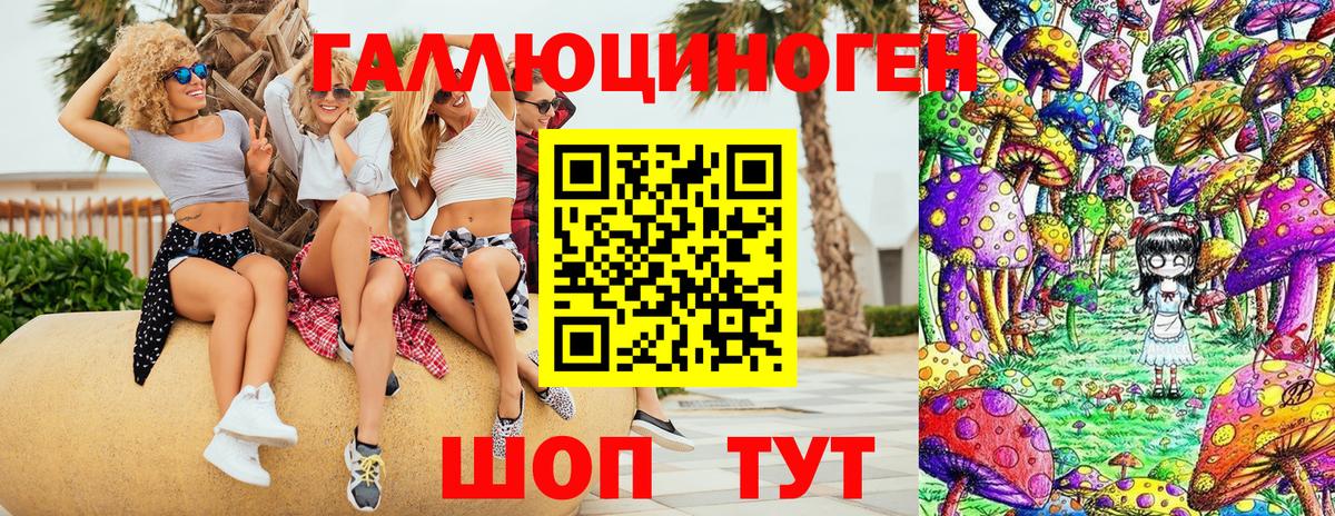 Псилоцибиновые грибы Magic Shrooms  Вход с VPN  Ивантеевка  Галлюциногенные грибы Magic Shrooms 